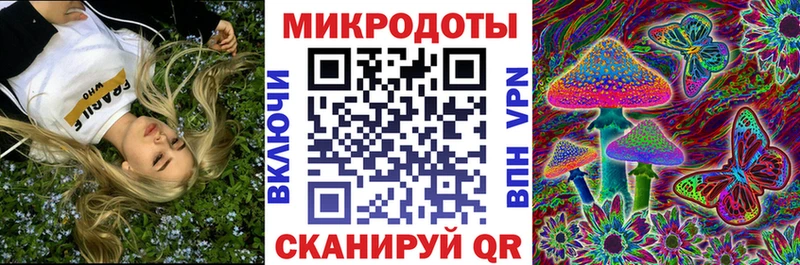Псилоцибиновые грибы Psilocybe  MEGA как войти  Карабаново 