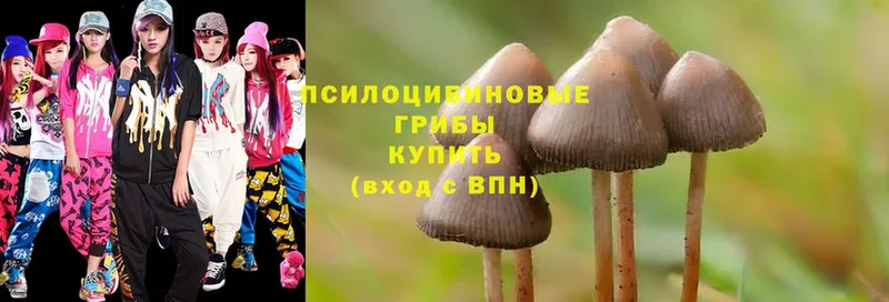 Галлюциногенные грибы Psilocybine cubensis  купить   Карабаново 